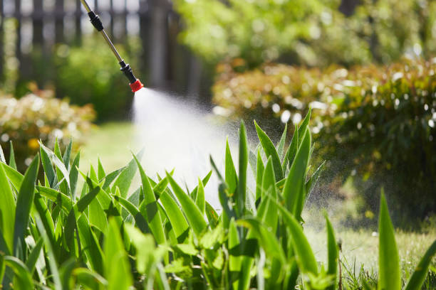 Tamper-Resistant Bait Stations for Rodents in Watsontown