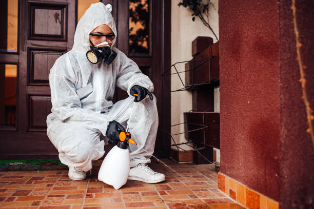 Attic and Crawl Space Rodent Treatment in Watsontown