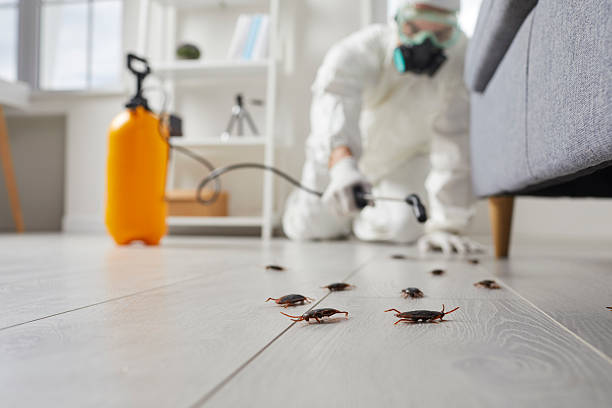 Commercial Rodent Management in Watsontown